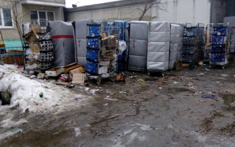 Некоторые жители Кировской области смогут не платить за вывоз мусора