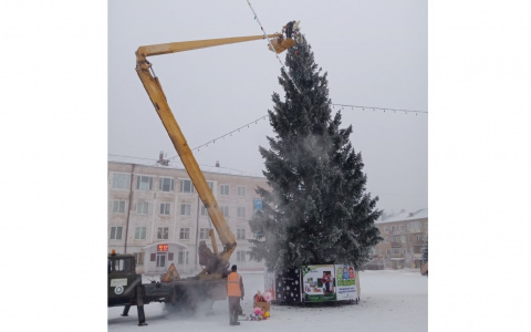 Елка с частного двора, мохнатый куст и еще 5 новогодних деревьев из Кировской области