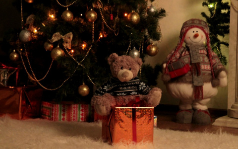 Стало известно, сколько денег кировчане потратят на подарки к Новому году