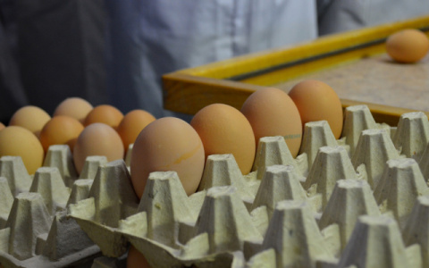 УФАС прокомментировали рост цен на яйца в Кирове