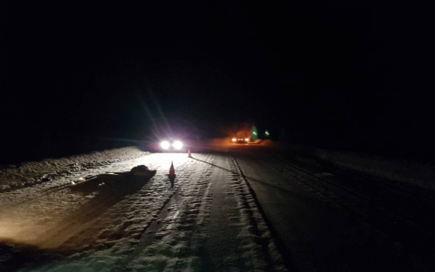 Спасатели эвакуировали 7 замерзающих человек из маршрутки на трассе Сыктывкар — Киров