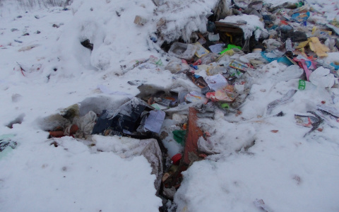 Мусорные завалы в Костино тлеют под снегом: кировские эксперты обеспокоены ситуацией