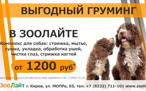 Выгодный груминг в «ЗооЛайте»!