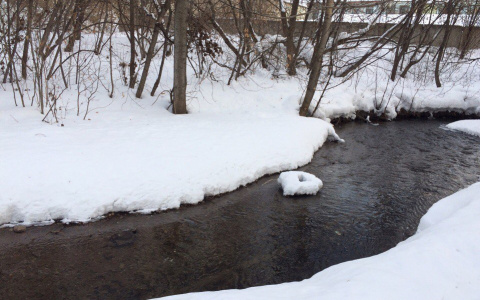 Русло реки Хлыновки в Кирове планируют расчистить в 2019 году