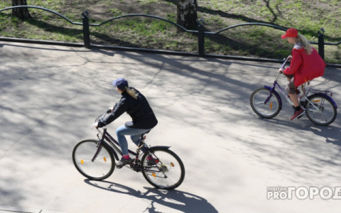 В Кирове летом откроется первое велокафе
