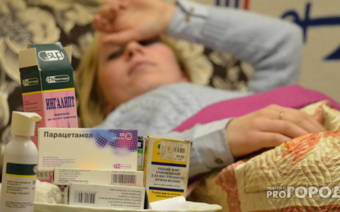 В Кировской области зафиксировали несколько случаев заболевания свиным и гонконгским гриппом