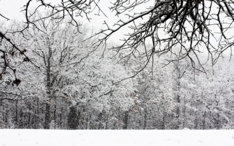 В Кирове прогнозируют потепление и снегопады