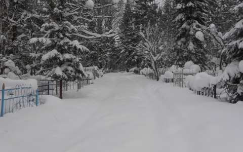 После снегопадов в Кировской области на кладбищах перевозят гробы на санках