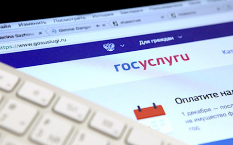 За 2018 год число пользователей портала Госуслуг возросло на 30%