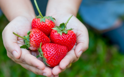 5 и 6 февраля выставка растений Новосибирского питомника "Надежный сад"
