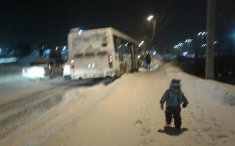 На юго-западе Кирова автобус въехал в иномарку
