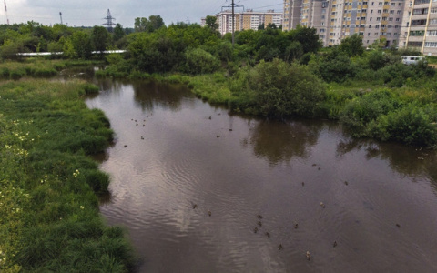 Кировчане смогут заработать 25 тысяч рублей за лучший проект сквера у Люльченки