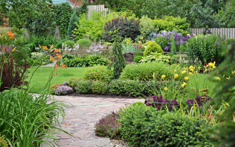 Садоводчица Галина: "Моему саду завидуют все соседи"