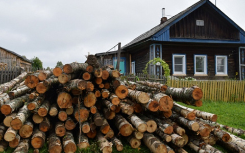 В Кировской области будут контролировать цены на дрова