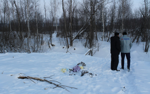 "Участок тоже мусорит?": в Кирове владельцам земли пришла квитанция за вывоз мусора