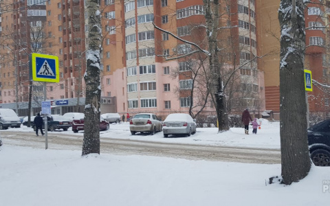 В Кирове у детсадов и школ появится 90 новых пешеходных переходов