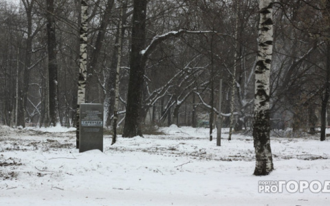 Кировчан призывают голосовать за объекты, которые необходимо благоустраивать