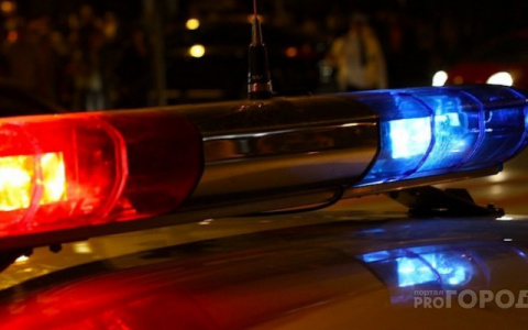 В Кировской области полицейские остановили пьяного водителя стрельбой по колесам