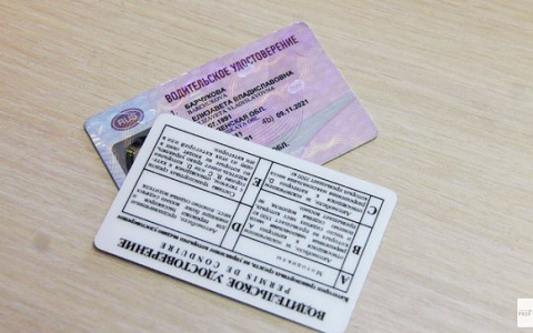 Стало известно, когда в России введут  электронные водительские права