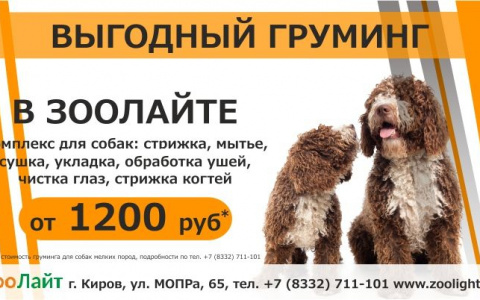 Выгодный груминг в «ЗооЛайте»!