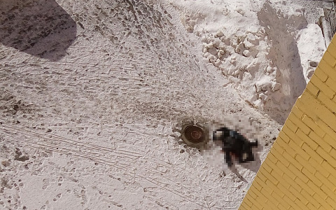 В Кирове жители обнаружили труп мужчины у подъезда