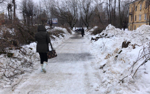 В мэрии рассказали, зачем спиливают деревья на аллее Октябрьского проспекта