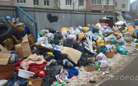 Кировское УФАС предписало отменить принятые нормативы накопления мусора до конца марта