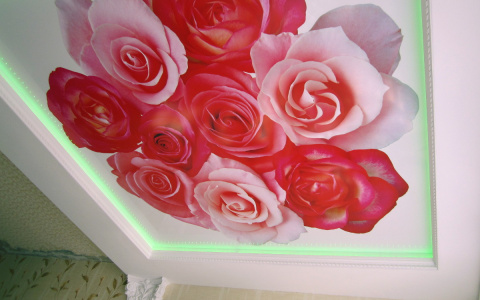 «Потолок как новый даже через два года!»: отзыв о компании по установке натяжных потолков