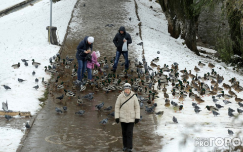 По итогам 2018 года в Кирове снизилась безработица и увеличилась численность населения