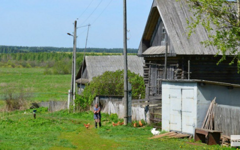 Кировчане могут  бесплатно получить землю в Вологодской области
