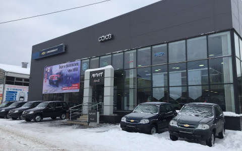 Не покупай «кота в мешке» - проверь авто перед покупкой