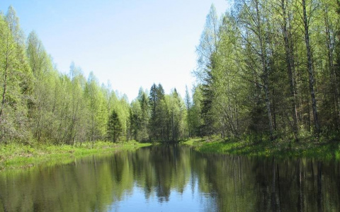 В Кировской области создадут национальный парк «Вятка»