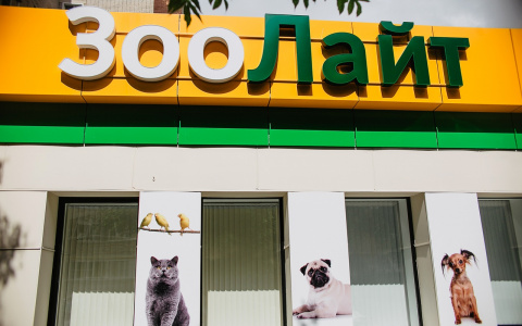 Как защитить питомца весной?