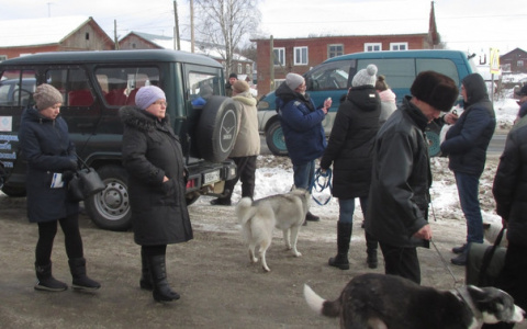 В деревне Кировской области объявили карантин по бешенству