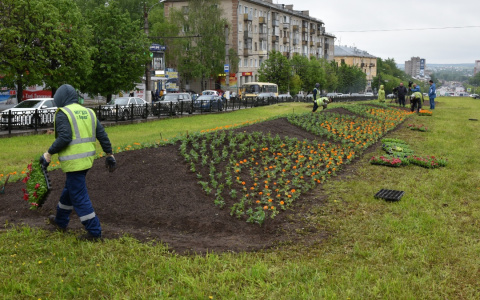 В администрации Кирова рассказали, сколько миллионов потратят на цветы для клумб