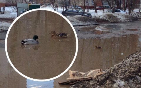 Весна в Кирове: 5 огромных городских луж