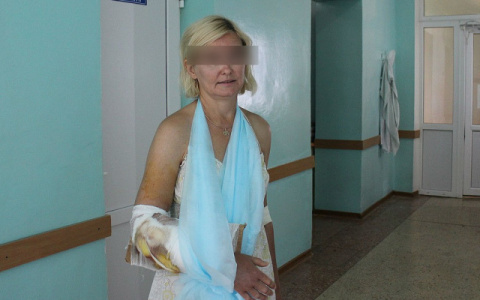 В сафари-парке, где лев напал на кировчанку, запретили подходить к хищникам