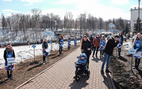 В Кирове появилась телеаллея