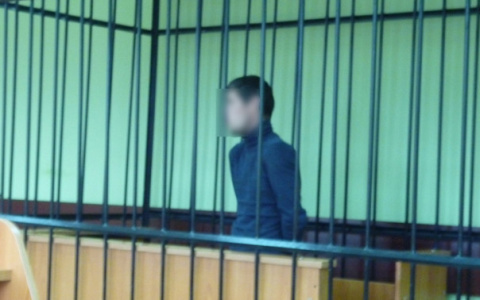 В Кировской области осудили мужчину, который угрожал 7-летней девочке пистолетом