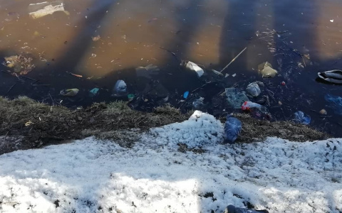 «Разрушенные тротуары и пакеты в пруду»: горожане жалуются на состояние парка имени Кирова