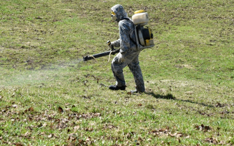 Стало известно, когда Киров начнут обрабатывать от клещей