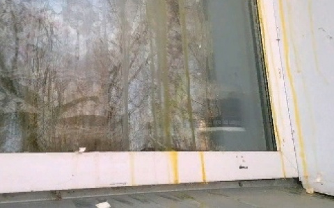 В Нововятске подростки обкидывают окна домов яйцами