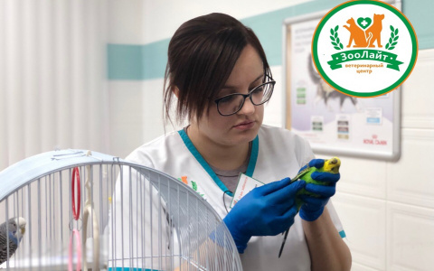 В каких случаях стоит обратиться на приём к орнитологу