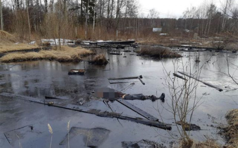 В Кировской области в яме с мазутом утонул мужчина