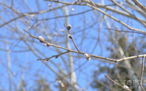 В выходные в Кирове ожидается резкое похолодание