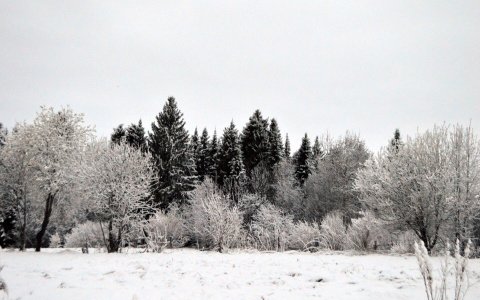Фоторепортаж из соцсетей: апрельский снегопад в Кировской области