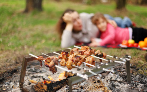 Про пикник: как выбрать мясо, сделать вкусный маринад и ничего не забыть