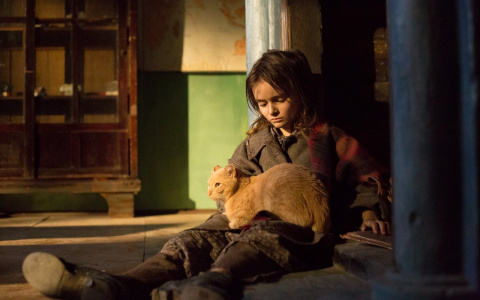 В Кирове пройдет «Второй фестиваль вдохновляющих фильмов»