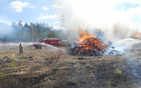 В Кировской области объявили метеопредупреждение из-за аномальной жары
