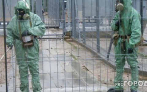 В Марадыково планируют перерабатывать опасные отходы